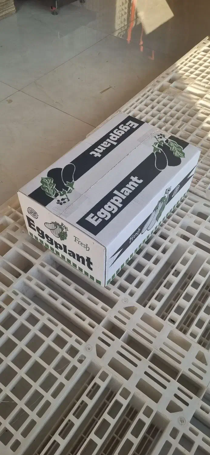 فروش کارتن صادراتی بادمجان|عمدهفروشی|یزد, |دیوار
