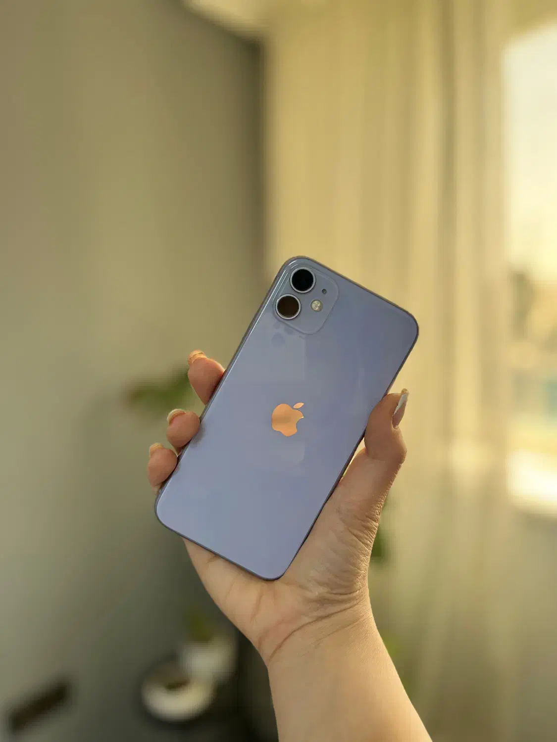 Iphon11normal|موبایل|شیراز, ارم|دیوار