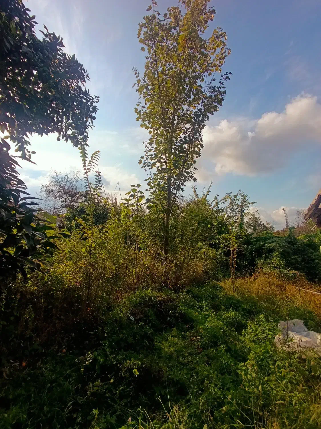 210متر احمدسرگوراب زیبا با پروانه ساخت|فروش زمین و ملک کلنگی|احمدسرگوراب, |دیوار