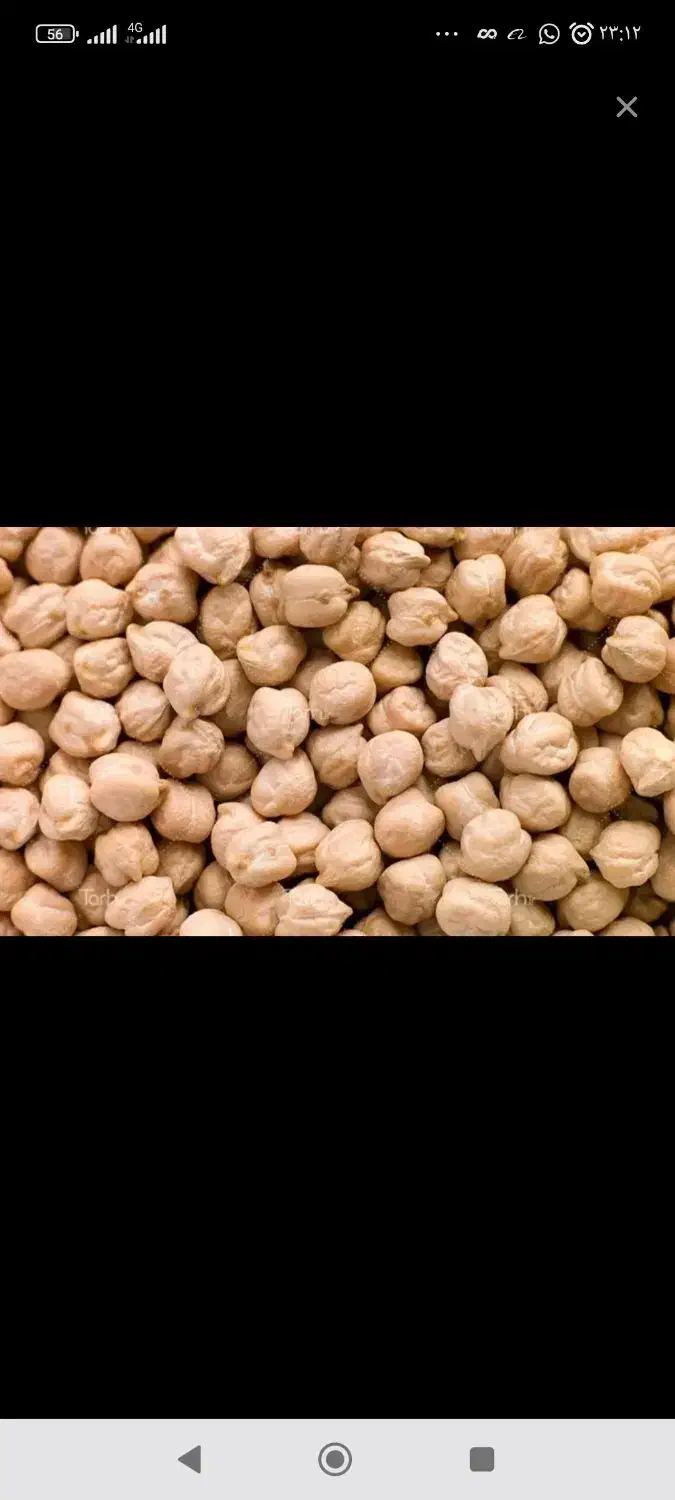 نخود|خوردنی و آشامیدنی|گرگان, |دیوار