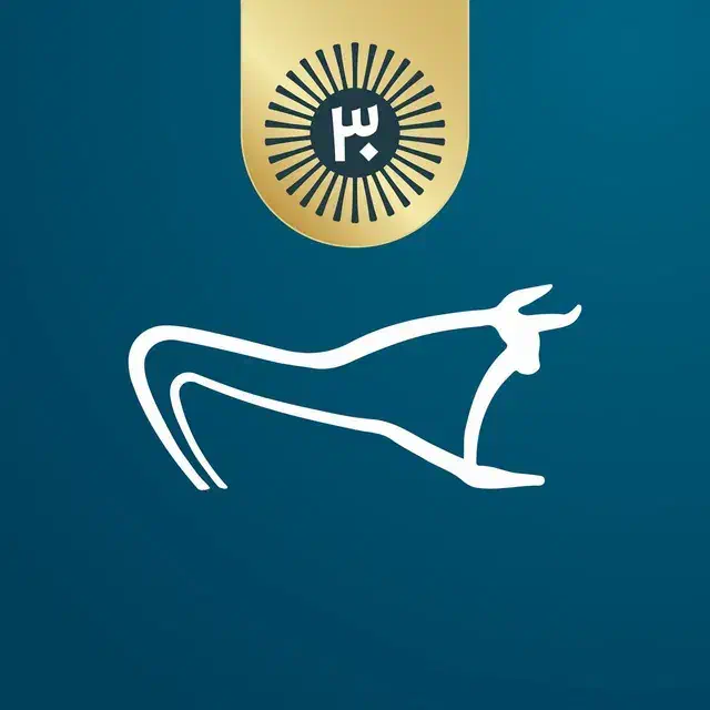 کد دعوت . شارژ بگیر|کارت هدیه و تخفیف|بیرجند, |دیوار