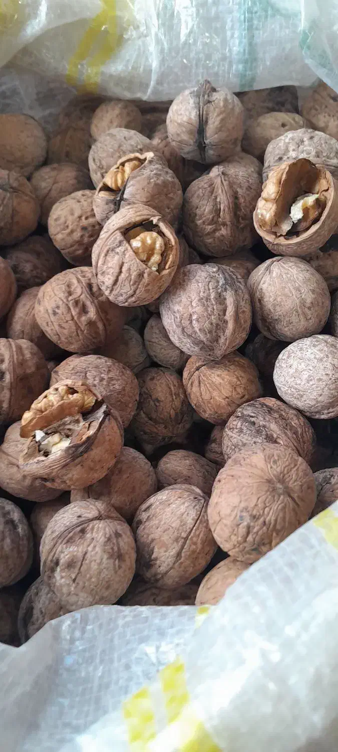 برنج هاشمی و گردو|خوردنی و آشامیدنی|مشگین شهر, |دیوار