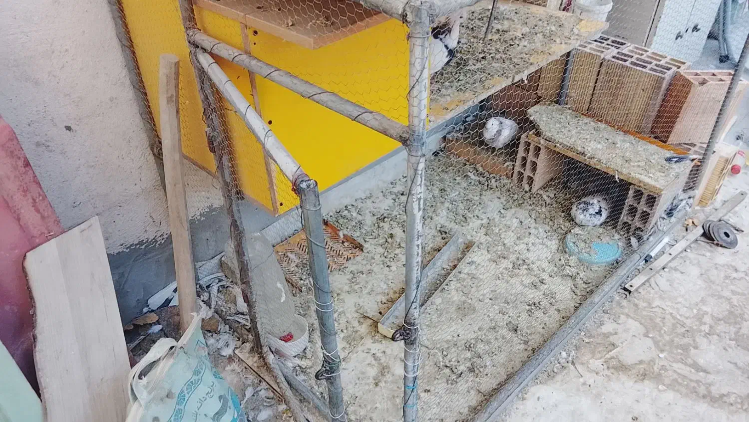 قفس آهنی کبوتر و مرغ|لوازم جانبی حیوانات|مشهد, کوشش|دیوار