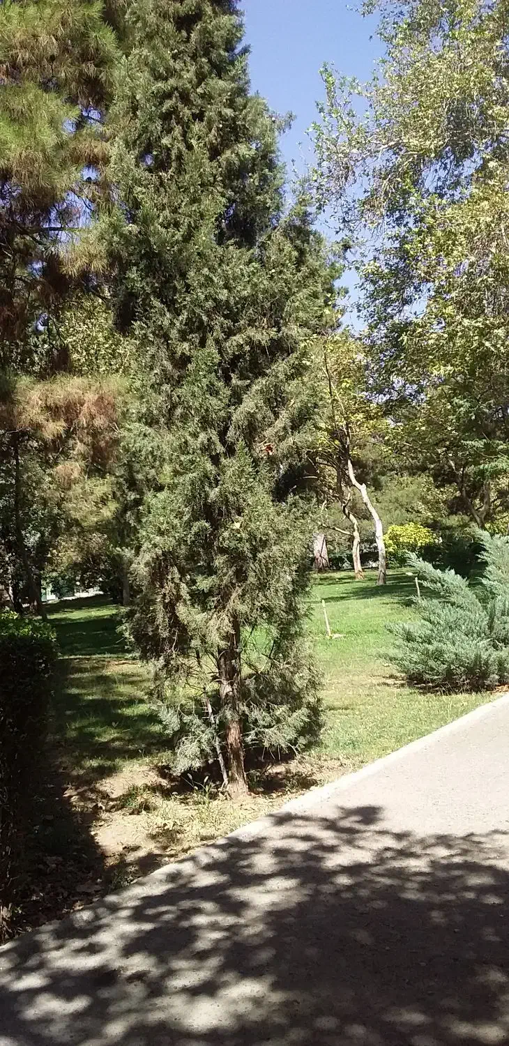 طبیعت گردی|فعالیت داوطلبانه|تهران, اکباتان|دیوار