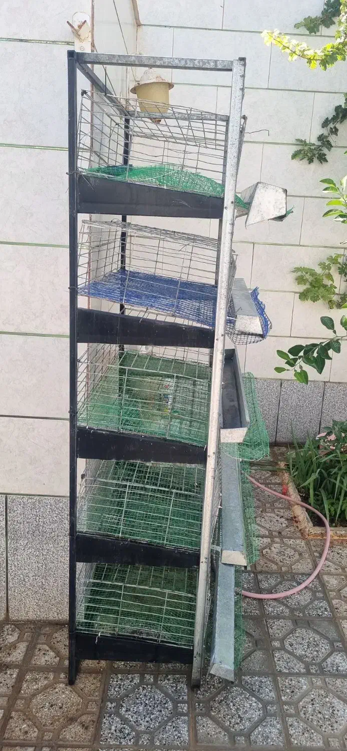 قفس۵طبقه بلدرچین|لوازم جانبی حیوانات|دهاقان, |دیوار