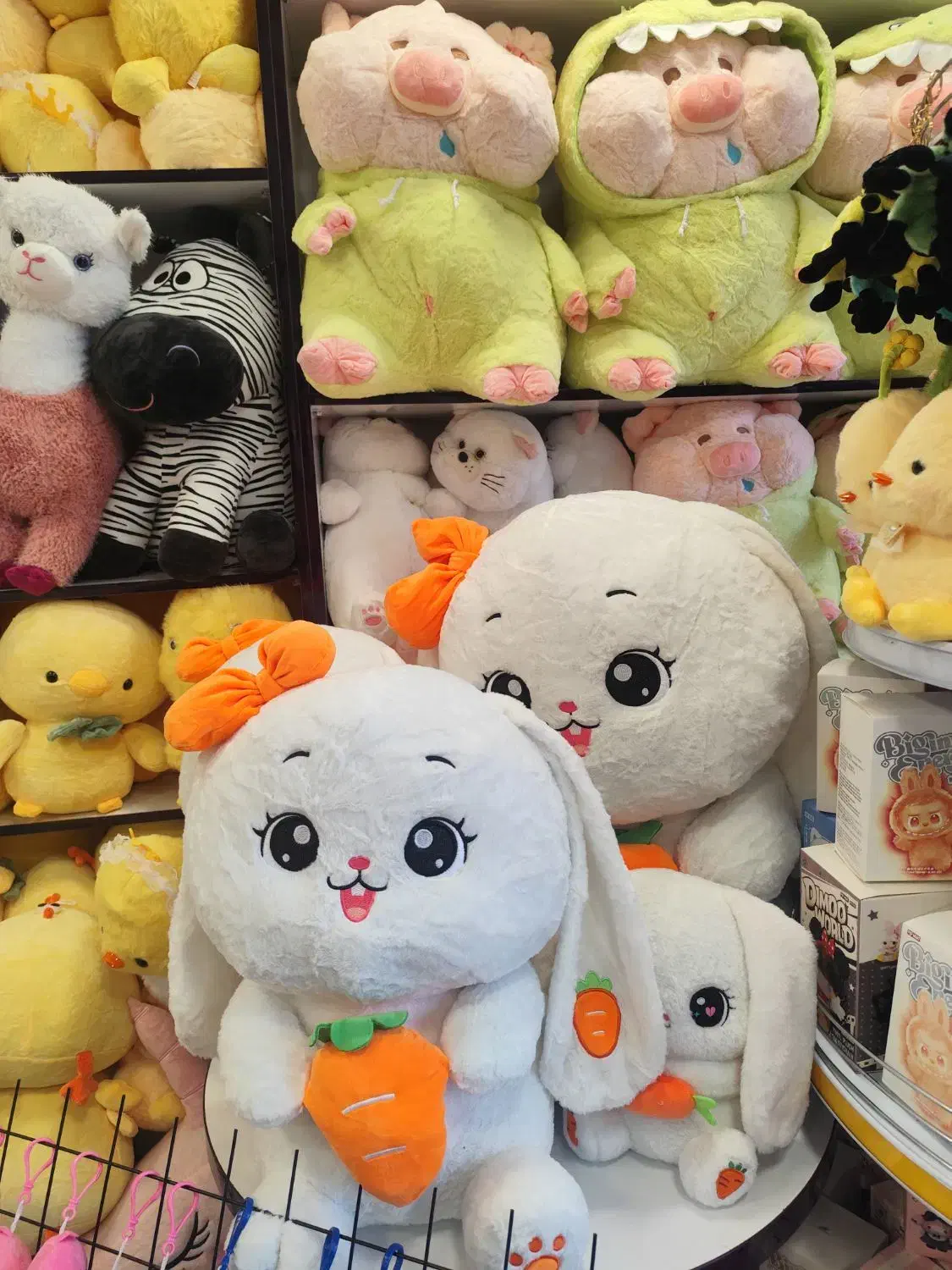 عروسک و کادویی|اسباببازی|شاهینشهر, عطار|دیوار