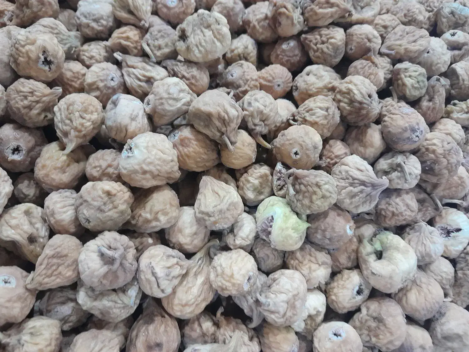 انجیراستهبان درشیرازبه شرط|خوردنی و آشامیدنی|شیراز, ماه فیروزان|دیوار