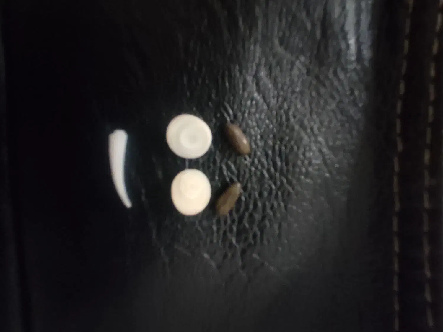 انگشتر|کلکسیون اشیاء عتیقه|شیروان (خراسان), |دیوار