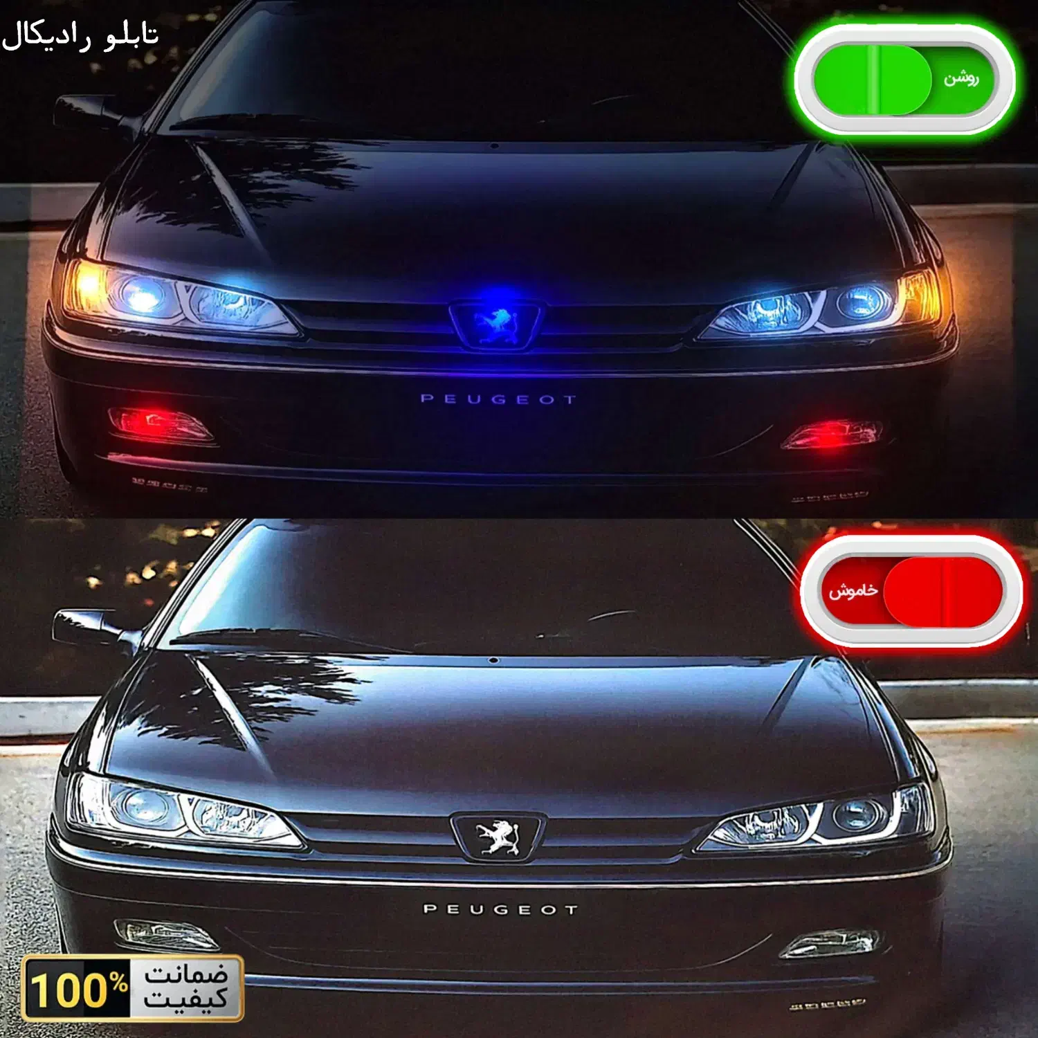 تابلو نوری شب خواب پارس سال خشک سفید مشکی چراغ|تابلو، نقاشی، عکس|شیراز, پودنک|دیوار