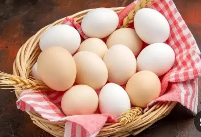 تخم مرغ محلی|خوردنی و آشامیدنی|تربت جام, فاز ۲ فرهنگیان|دیوار