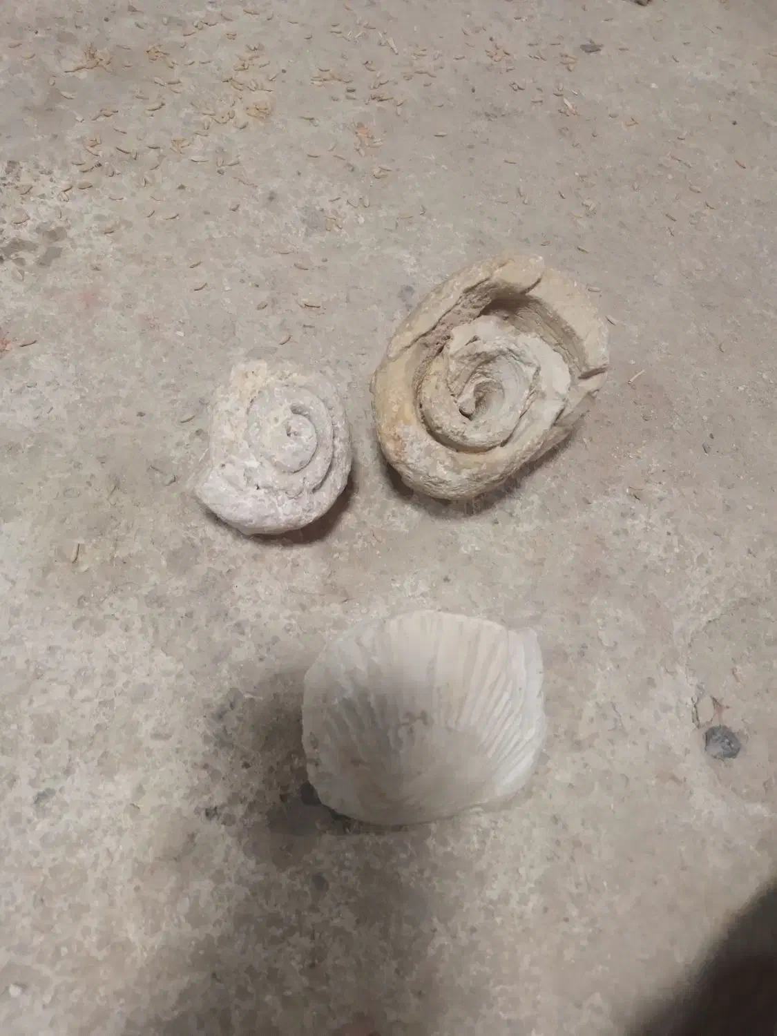 سنگ عتیقه|کلکسیون اشیاء عتیقه|فامنین, |دیوار