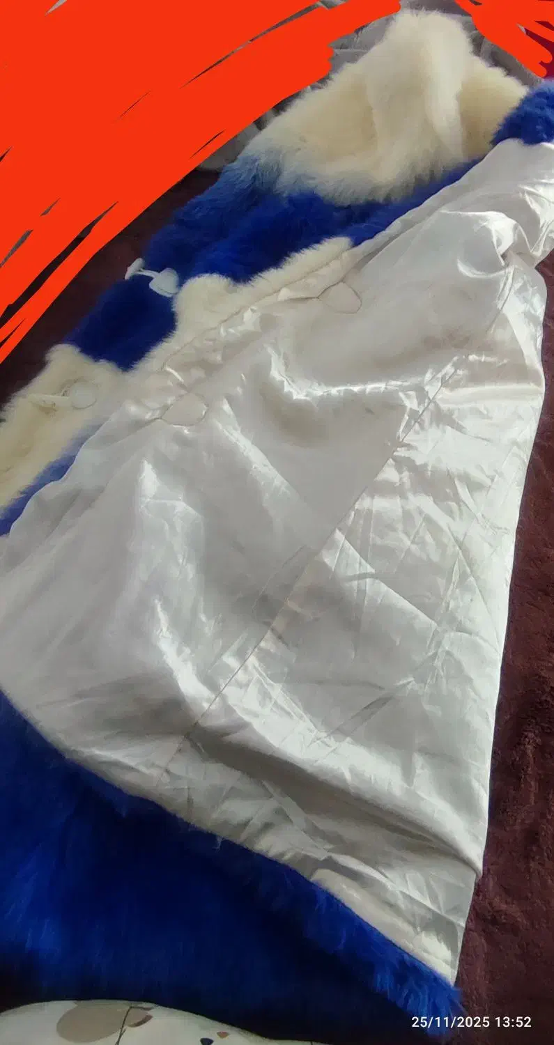 پالتو خز دار نو نو نو|لباس|تهران, والفجر (افسریه)|دیوار