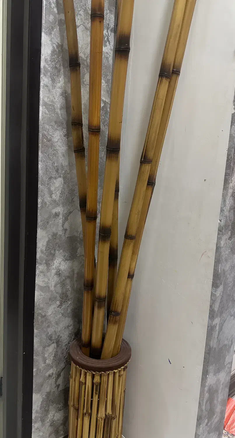 گلدان و چوب نی بامبو|صنایع دستی و سایر لوازم تزئینی|بندر ماهشهر, |دیوار