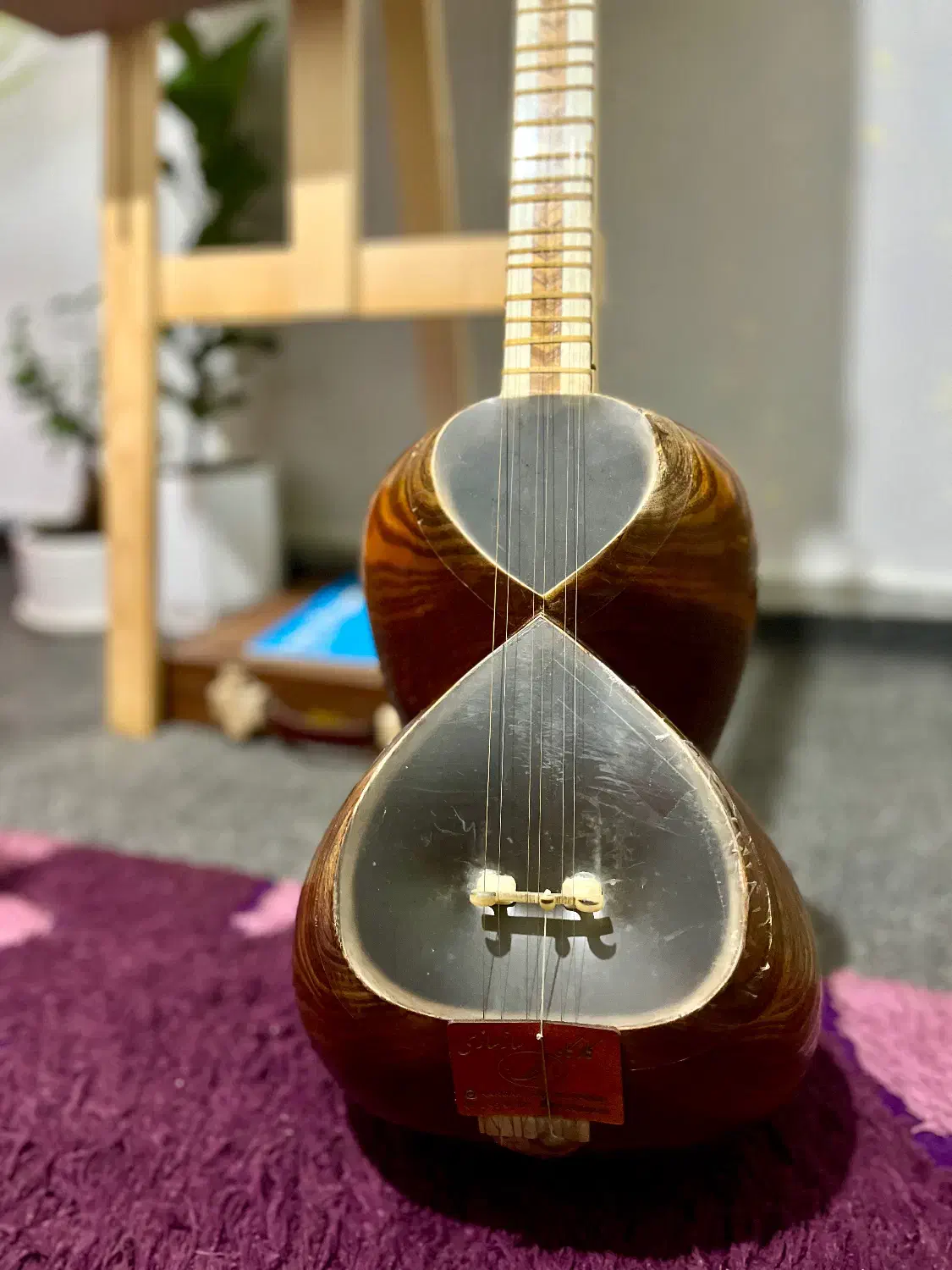 تار حرفه ای خوش صدا|سازهای سنتی|گرگان, |دیوار