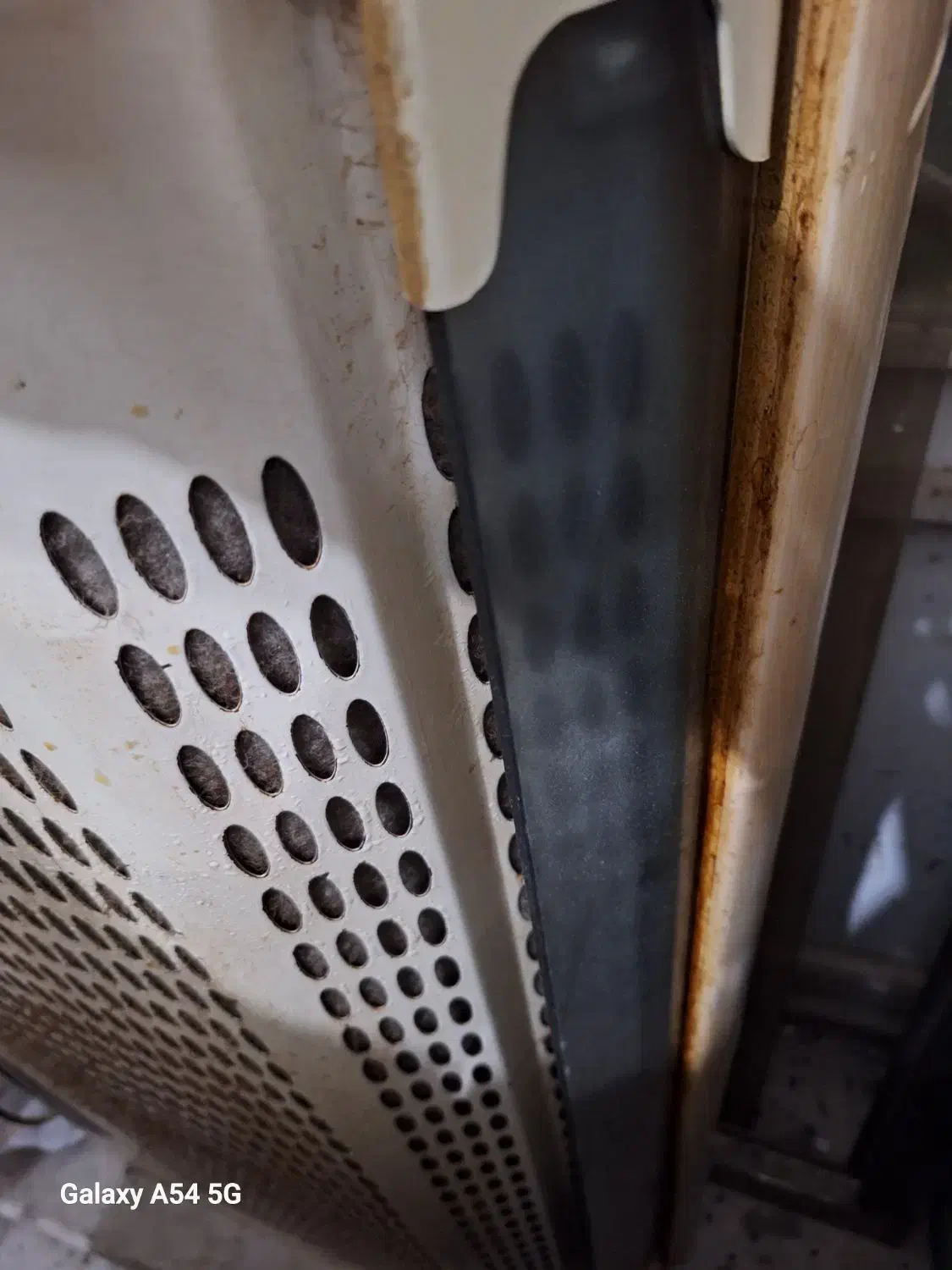 هود سالم|هود|طرقبه, |دیوار