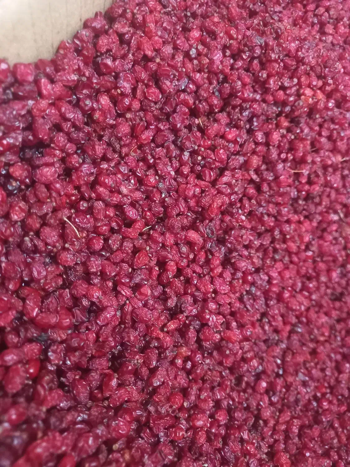 زرشک و زعفران|خوردنی و آشامیدنی|اهواز, کوی نفت|دیوار