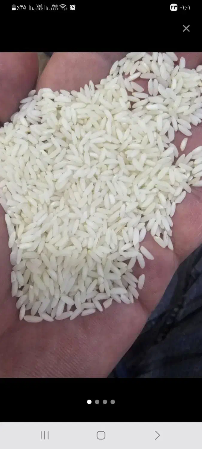 برنج خارجی شبیه عنبر بو درشادگان|خوردنی و آشامیدنی|اهواز, منازل کارون|دیوار