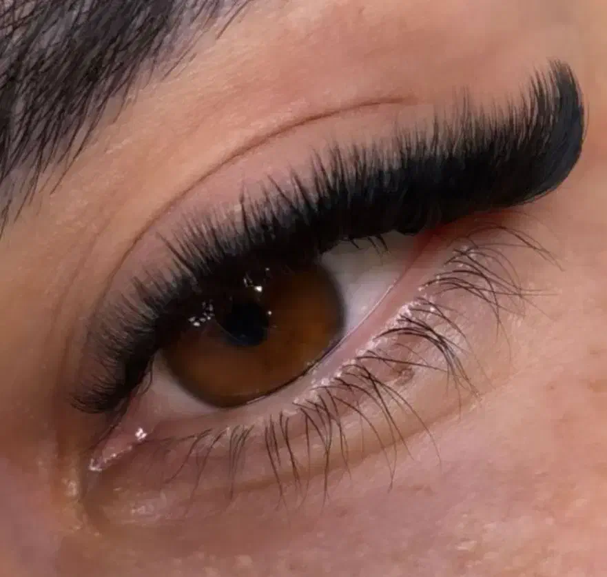 آفر ویژه اکستنشن مژه و لیفت و لمینت مژه و ابرو|خدمات آرایشگری و زیبایی|شیراز, شهرک ولیعصر|دیوار