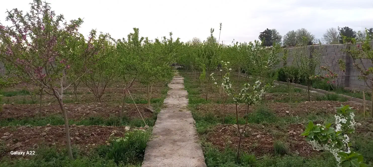 دام|لوازم جانبی حیوانات|نیشابور, فضل|دیوار