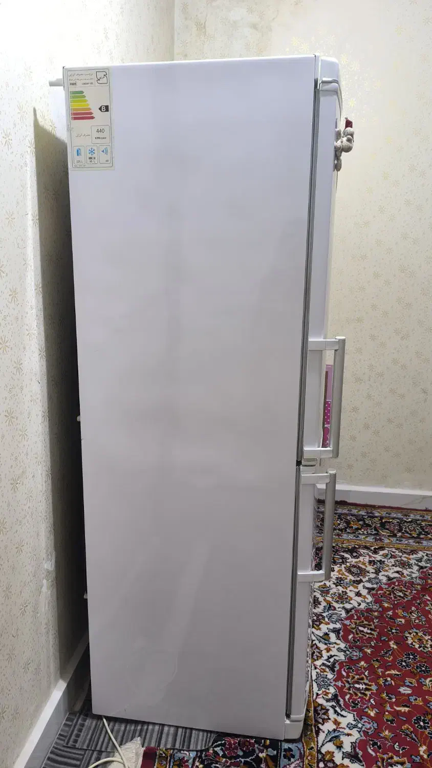 یخچال پارس|یخچال و فریزر|اهواز, دغاغله|دیوار