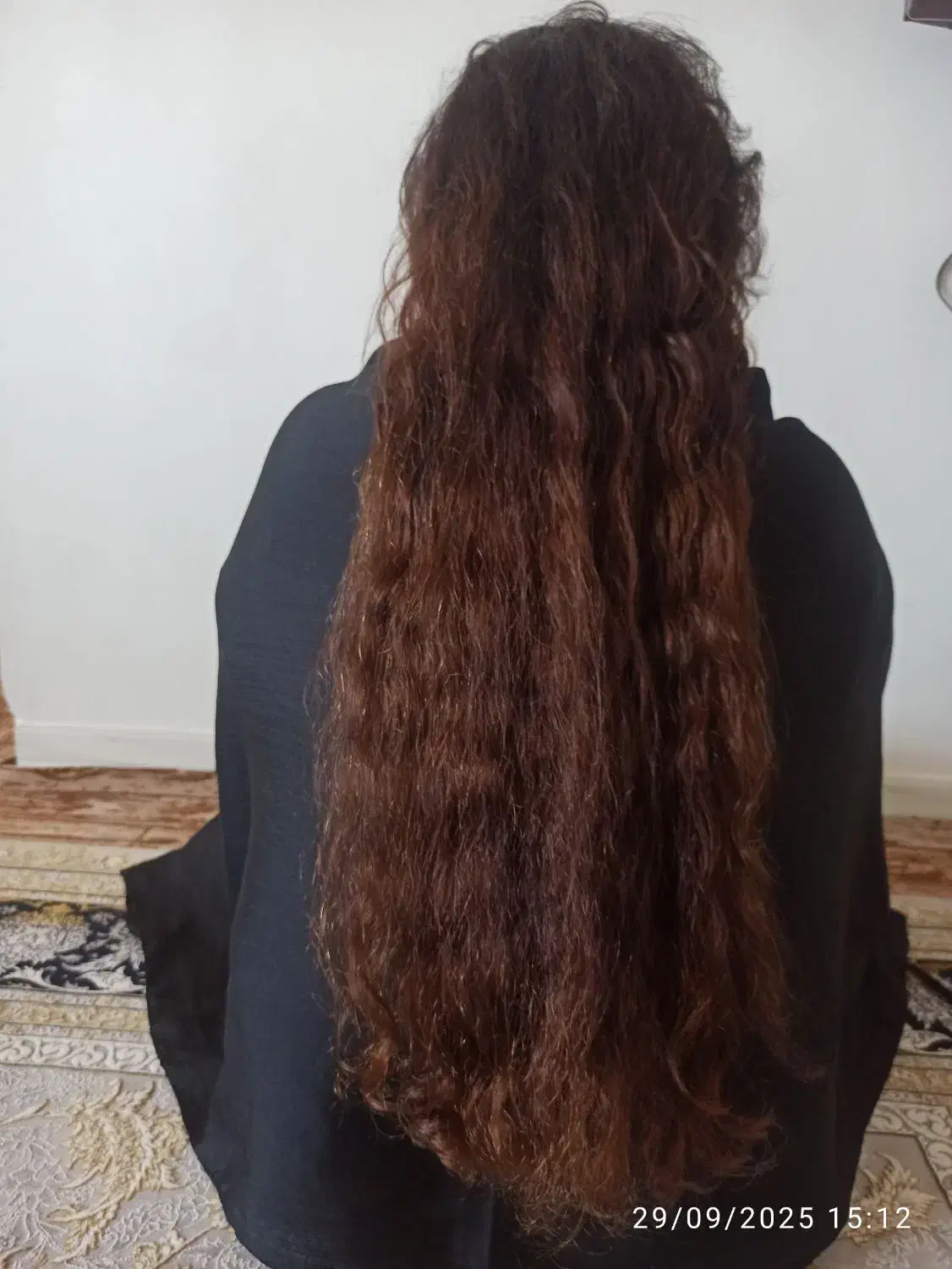 مو طبیعی|آرایشی، بهداشتی، درمانی|اهواز, مجاهد|دیوار