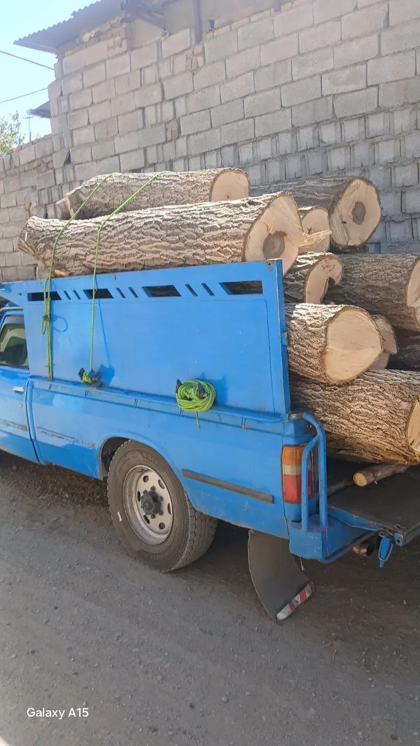 خرید چوب|خدمات باغبانی و درختکاری|ملایر, |دیوار