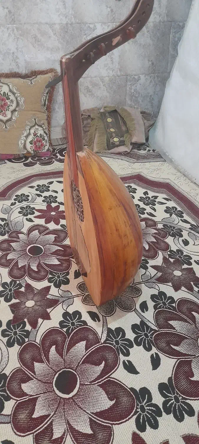 عود عراقی سالم|سازهای سنتی|قشم, |دیوار