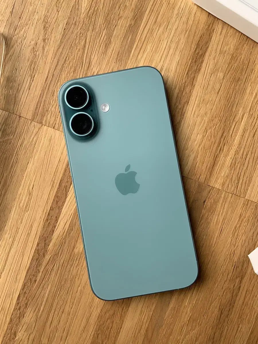 Iphone 16 256gig|موبایل|ارومیه, |دیوار