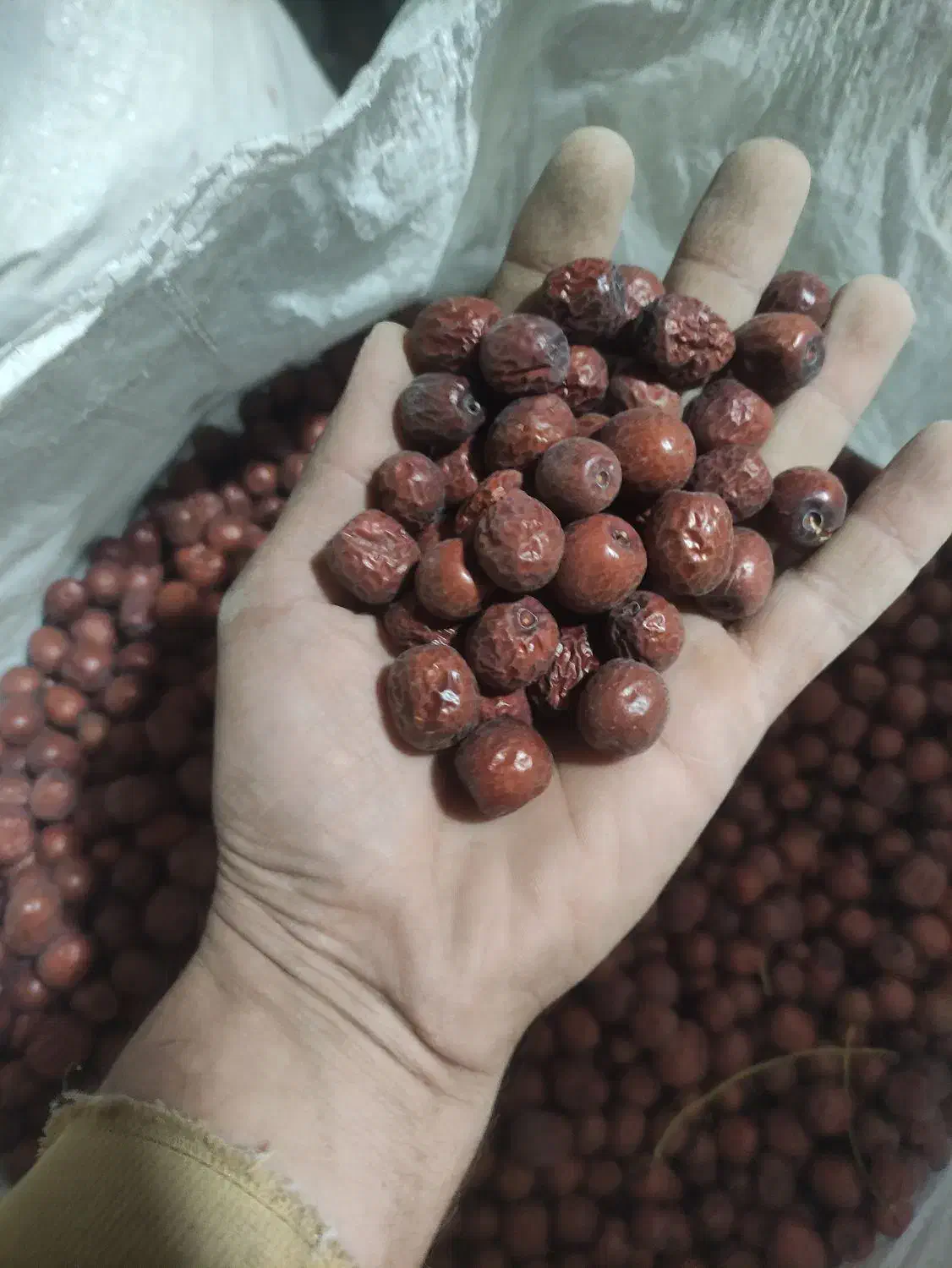 اناب امسالی|خوردنی و آشامیدنی|درمیان, |دیوار