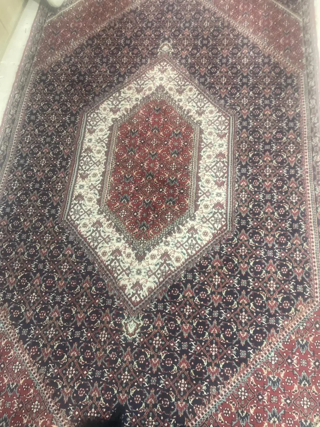 ۳عدد فرش|فرش|بوشهر, |دیوار