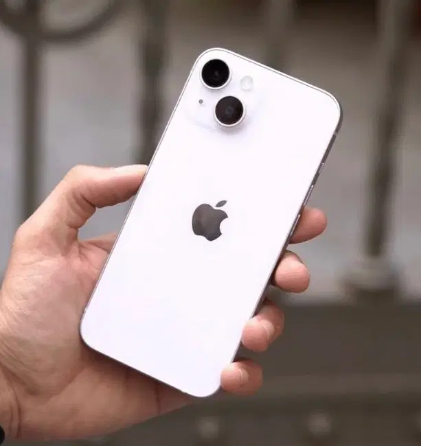 iPhone 14 normal|موبایل|مشهد, شفا|دیوار