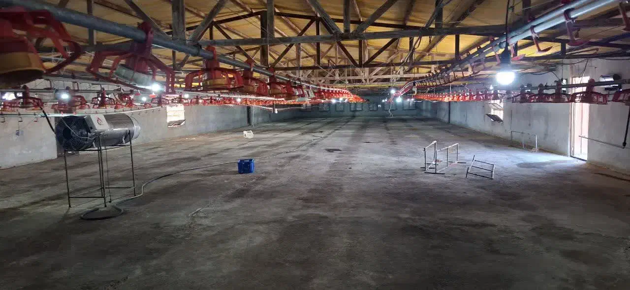 مرغداری|فروش دفتر صنعتی، کشاورزی، تجاری|سلامی, |دیوار