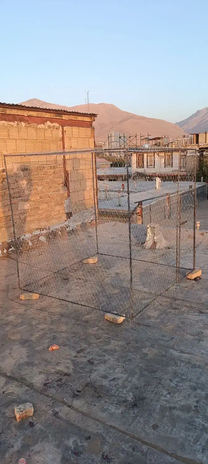 لانه بزرگ پرنده و کبوتر|لوازم جانبی حیوانات|نهاوند, |دیوار