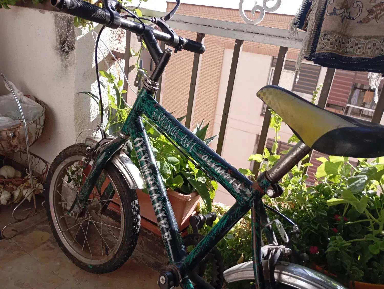 دوچرخه سایز ۱۹|دوچرخه، اسکیت، اسکوتر|پردیس, فاز ۳|دیوار