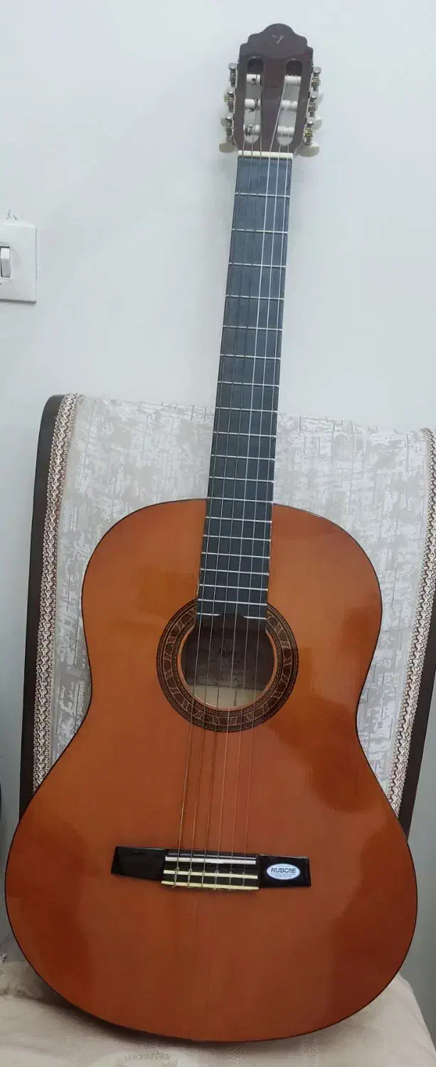 گیتار والنسیا|گیتار، بیس، امپلیفایر|تهران, دولاب|دیوار