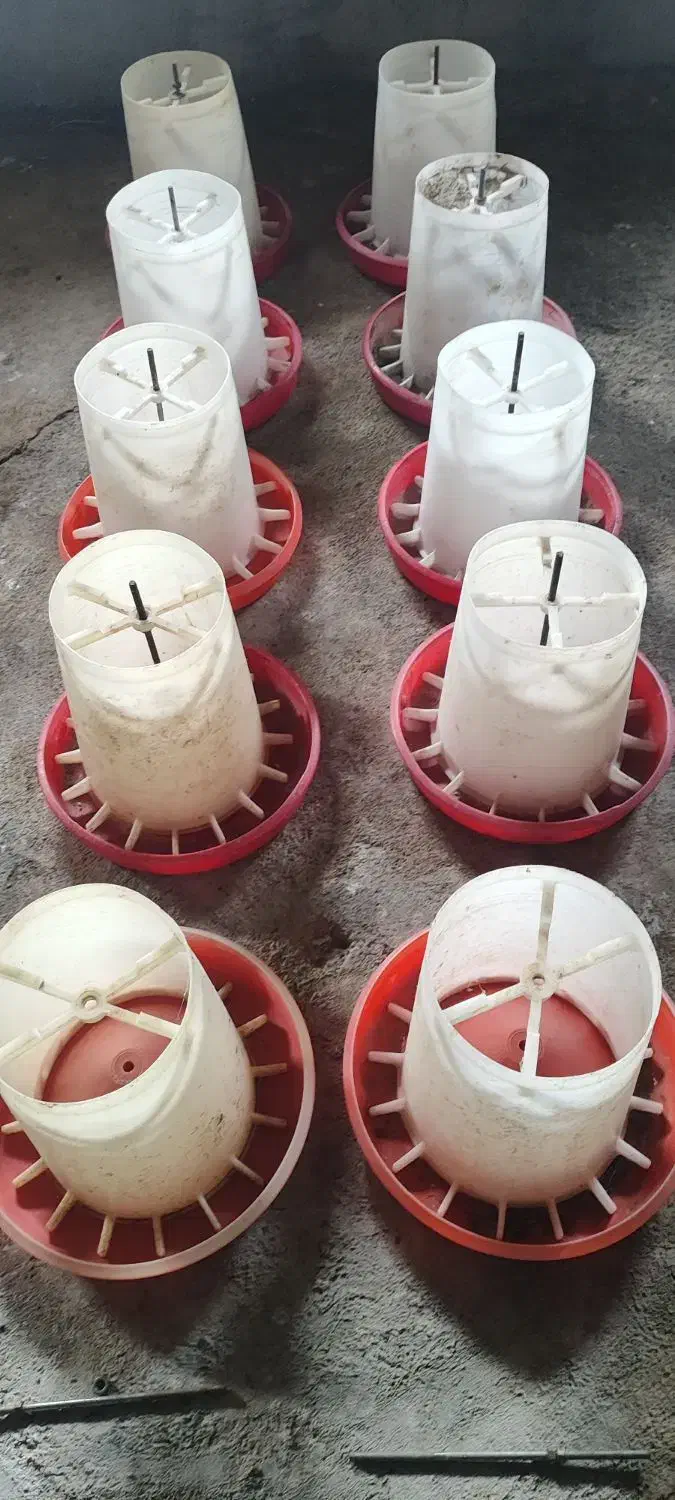 دانخوری سطلی|لوازم جانبی حیوانات|پارسآباد, |دیوار