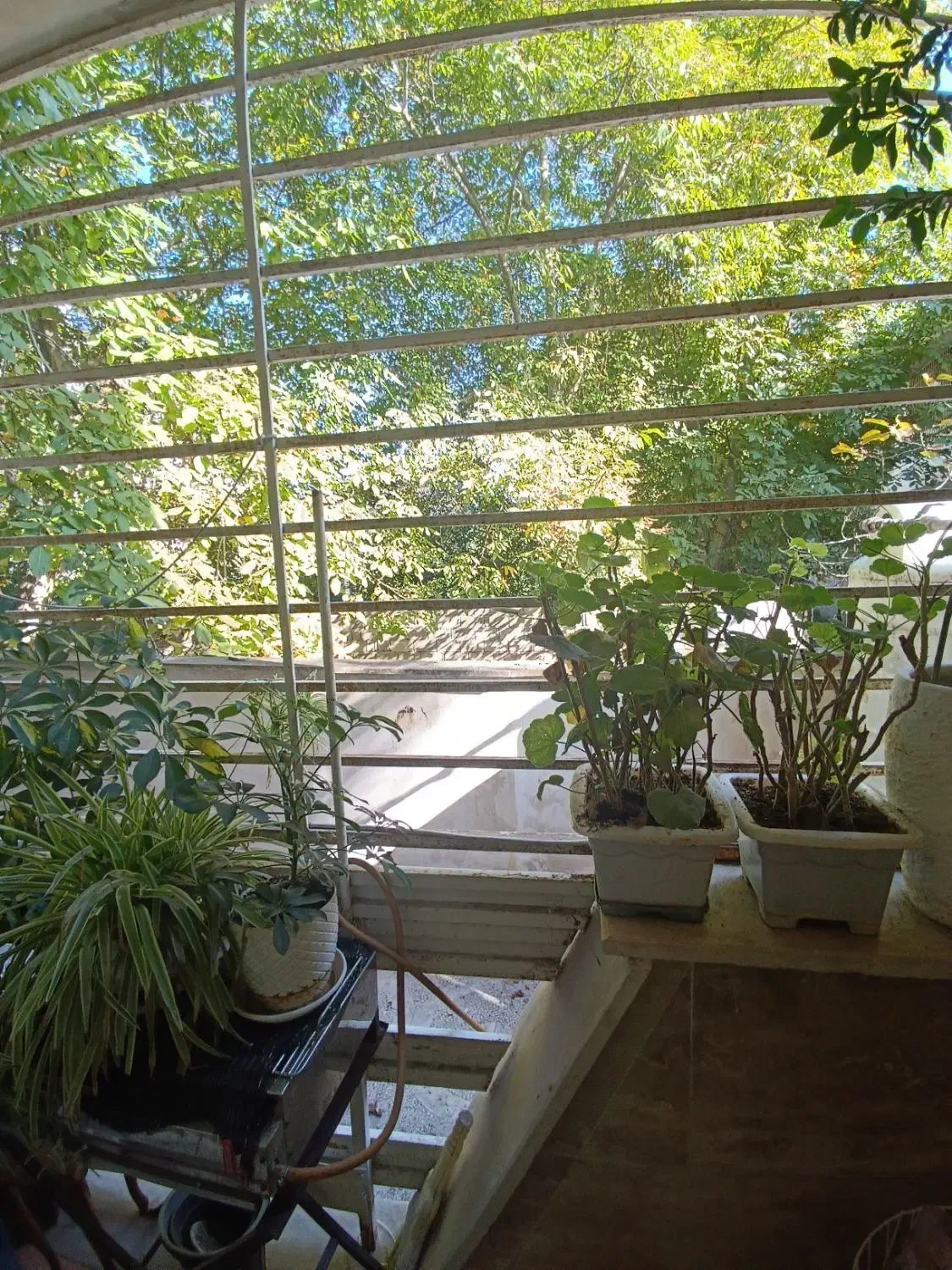 فروش آپارتمان رادیودریا 130|فروش آپارتمان|چالوس, |دیوار