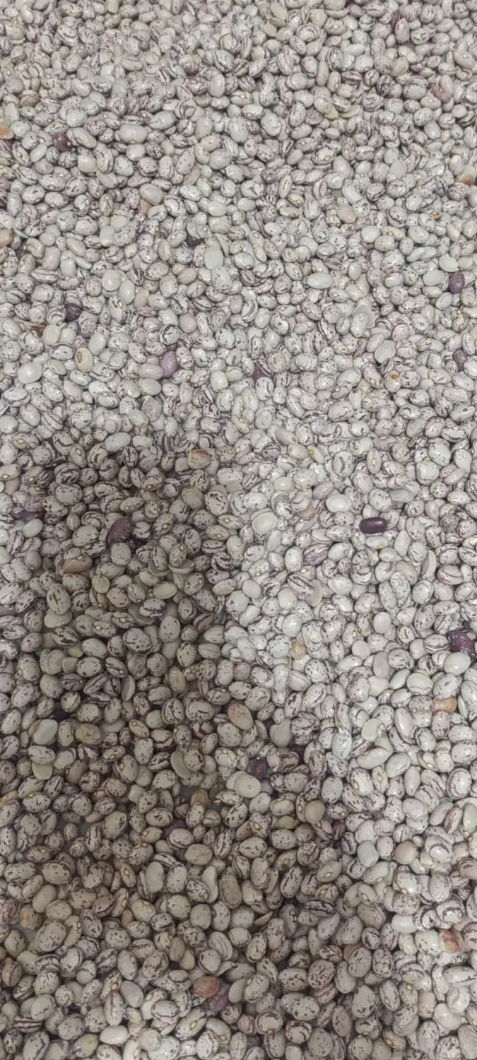 لوبیا چیتی|خوردنی و آشامیدنی|شیراز, محراب|دیوار