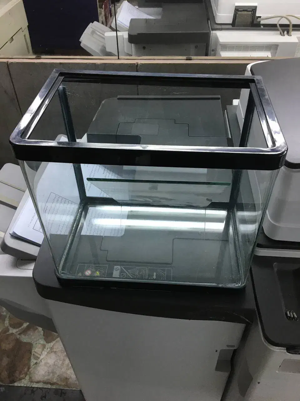 آکواریم کوچک|ماهی|تهران, فلسطین (میدان انقلاب)|دیوار