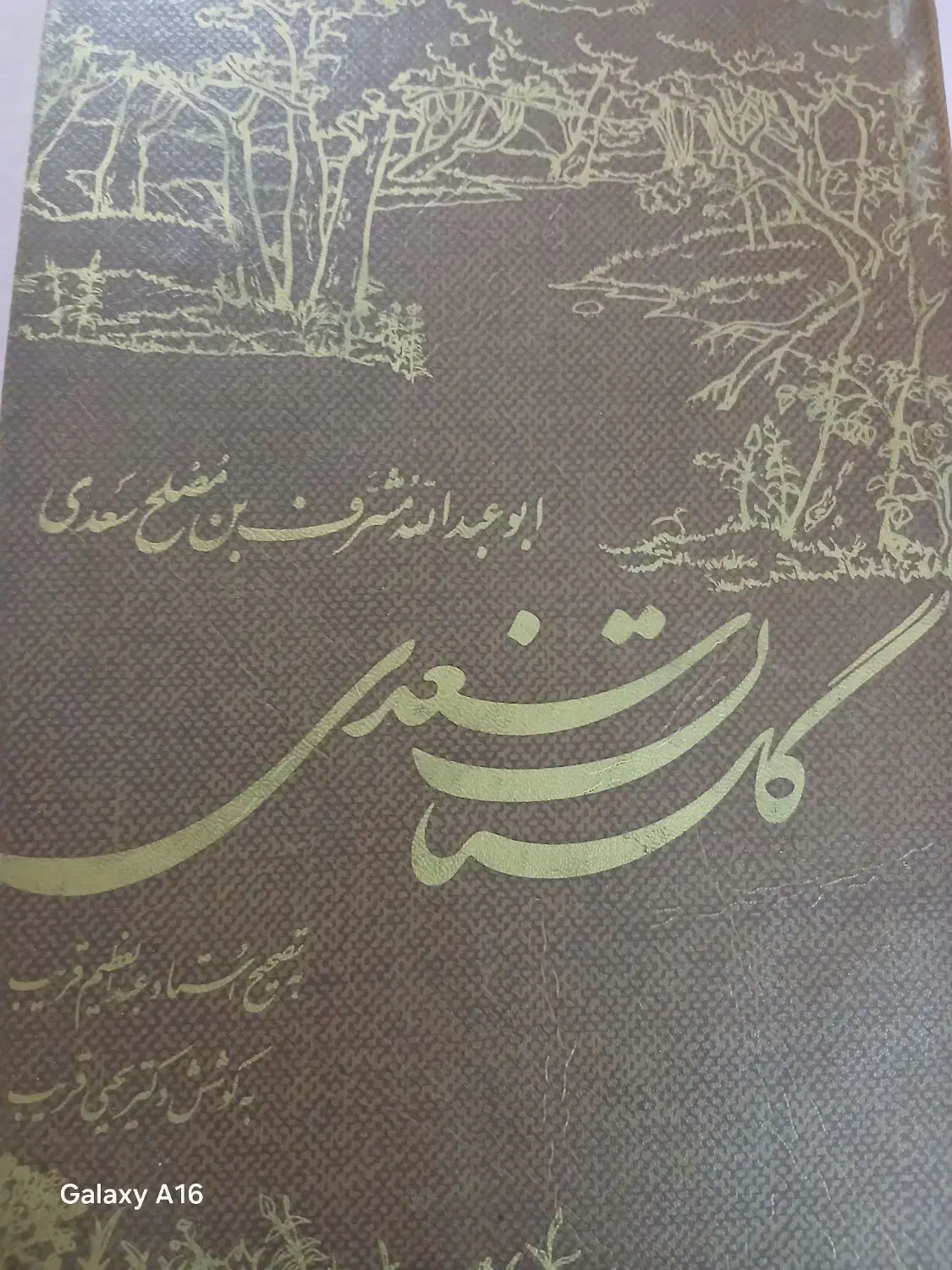 کتاب گلستان سعدی|کتاب و مجله تاریخی|اصفهان, خواجو|دیوار