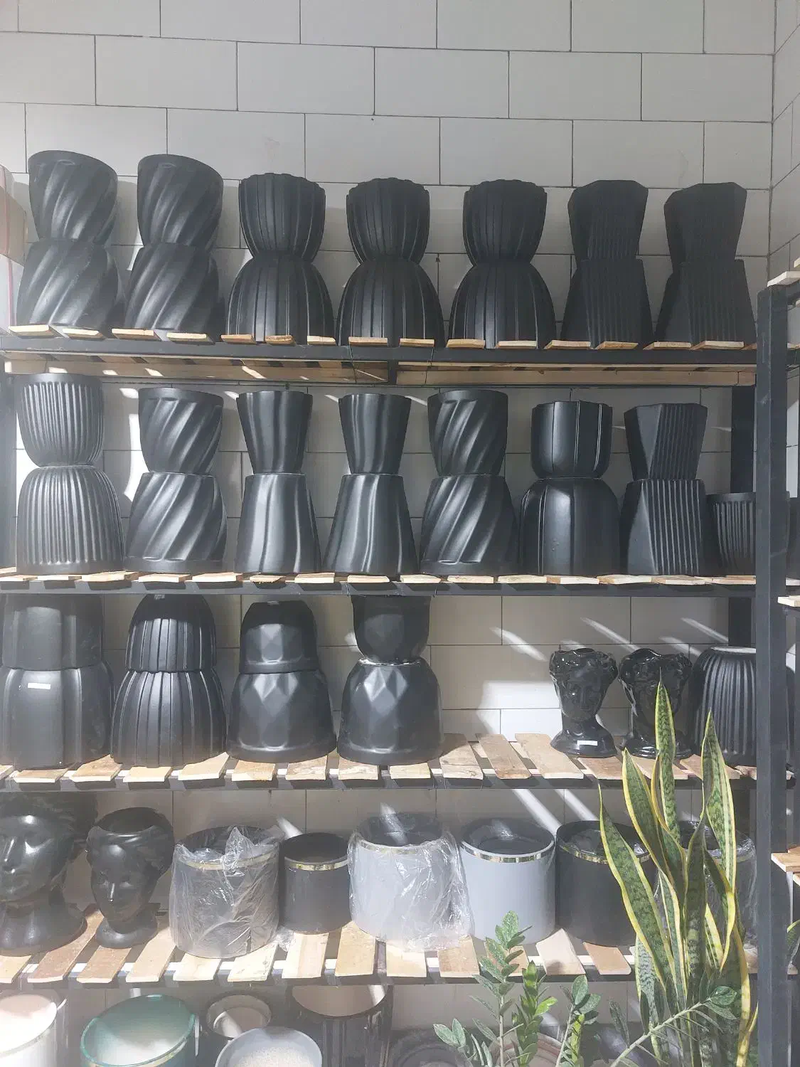 گل وگلدان|گل و گیاه طبیعی|اسلامآباد غرب, |دیوار