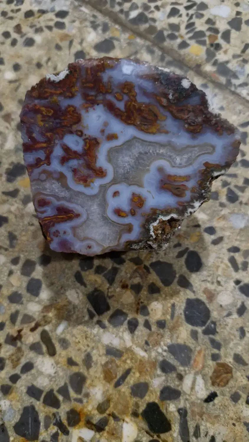 سنگ شجر راف پاییزه خراسان|زیورآلات و اکسسوری|الیگودرز, |دیوار