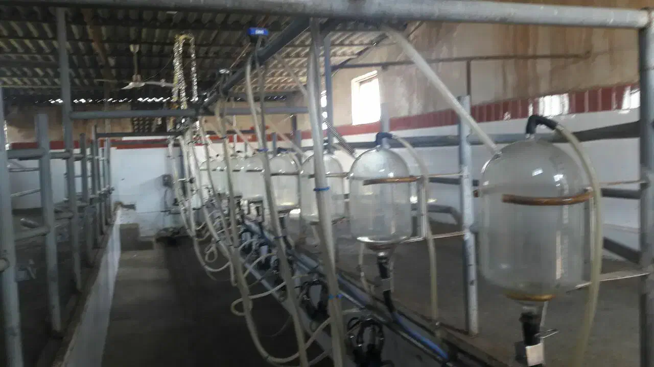 فروش با تهاتر|فروش دفتر صنعتی، کشاورزی، تجاری|جوین, |دیوار