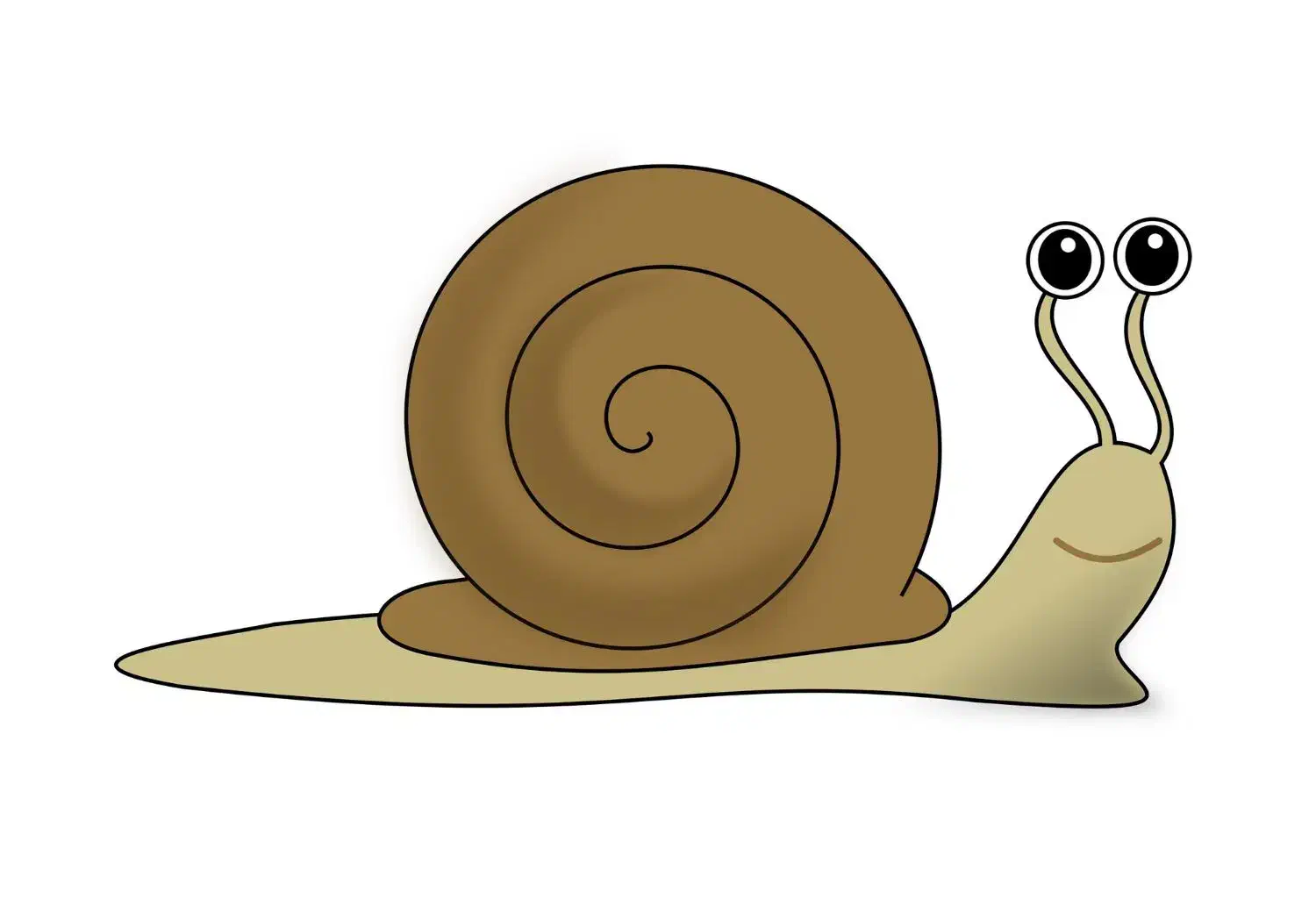 حلزون بزرگ و کوچک|خزنده|کرمانشاه, |دیوار