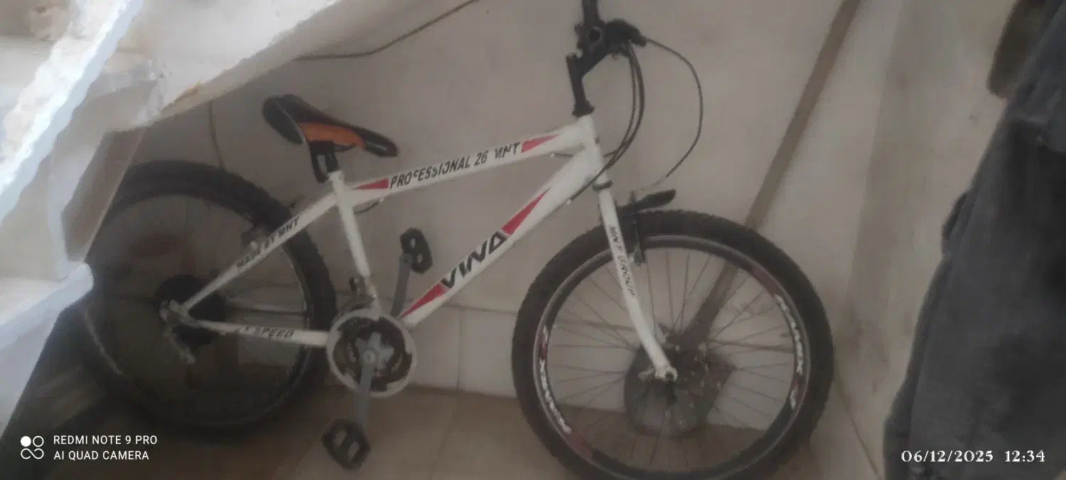 دوچرخه دنده ای ویوا|دوچرخه، اسکیت، اسکوتر|سبزوار, قلعهنو دهزار|دیوار