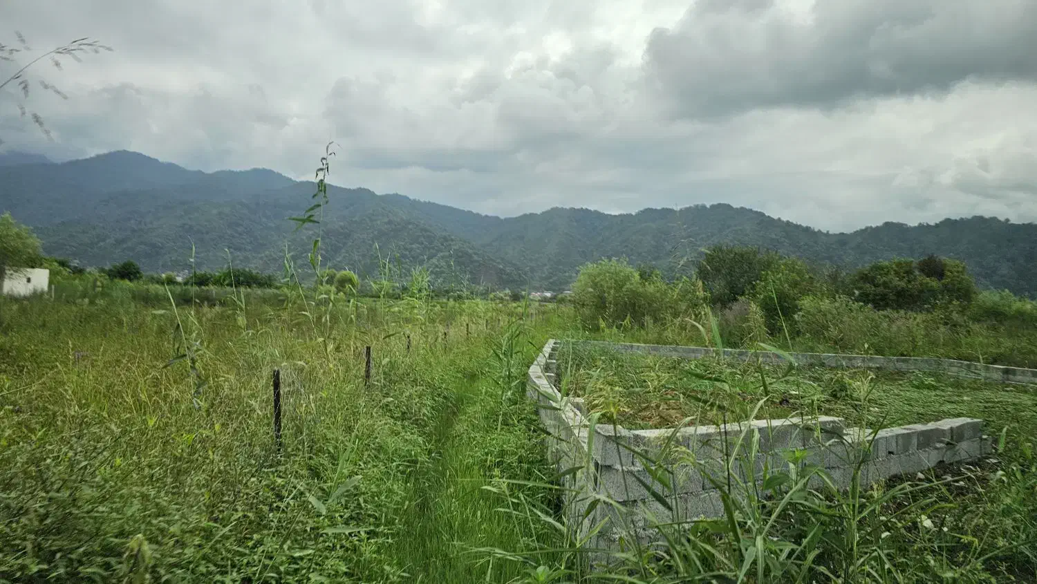 فروش زمین ۲۱۰ متری امکانات پای زمین|فروش زمین و ملک کلنگی|چابکسر, |دیوار