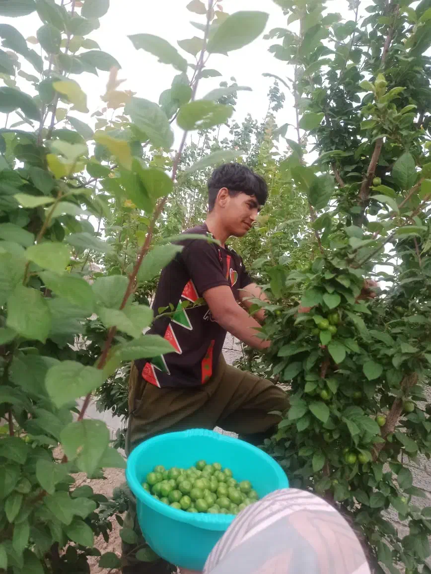 ۳۵۰مترباغ ویلا*سنددار*بافت شهری*کنتور* شهریار|فروش خانه و ویلا|تهران, یافت آباد جنوبی|دیوار