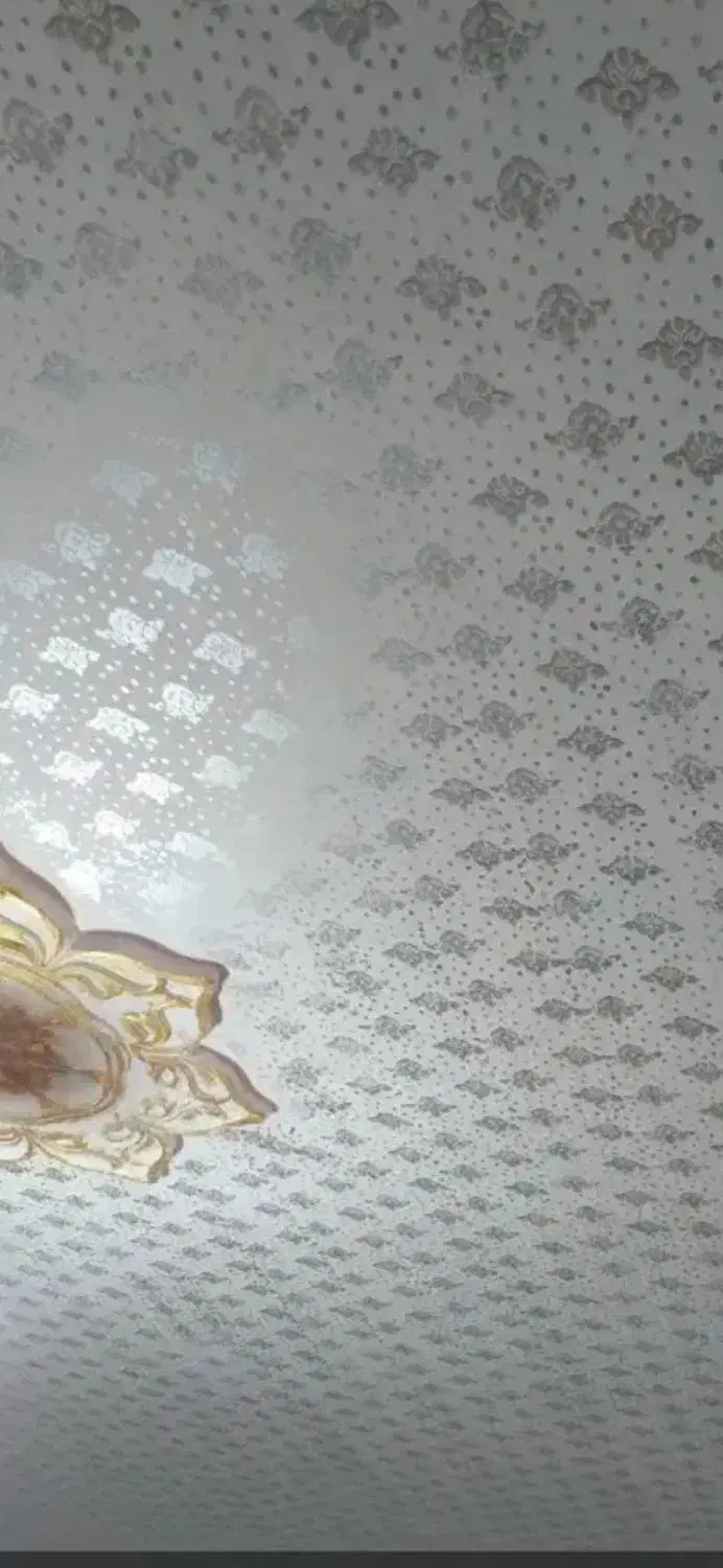 طرح کاغذ دیواری|خدمات پیشه و مهارت|بناب, |دیوار
