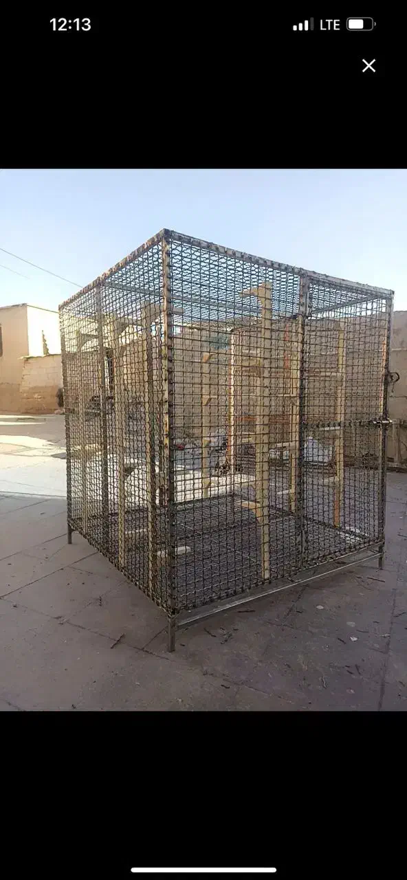 کبوتر|پرنده|شیراز, پشم شیشه|دیوار