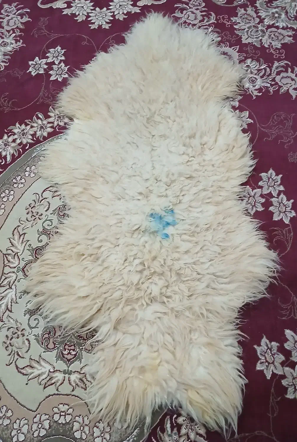 پوست بَره درست شده و نرم|فرش|اندیمشک, |دیوار